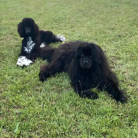 Evasion Dans Les Vignes, Spa ! * Pompignan (Tarn-et-Garonne)