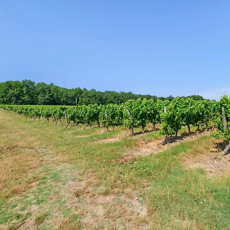Evasion Dans Les Vignes, ! Holiday home